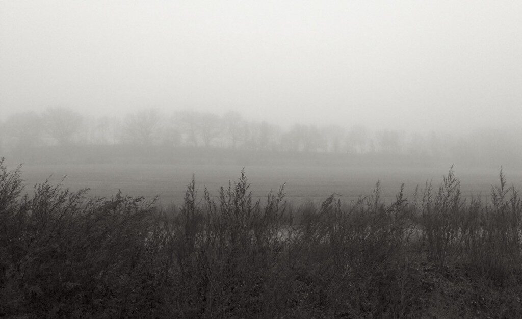Nebel
