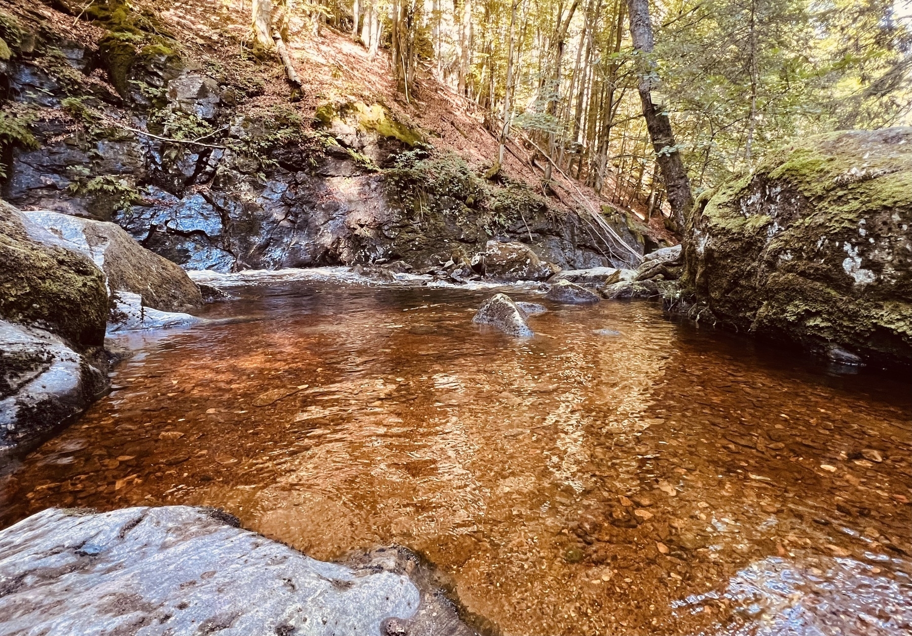 Steinklamm bei Spiegelau