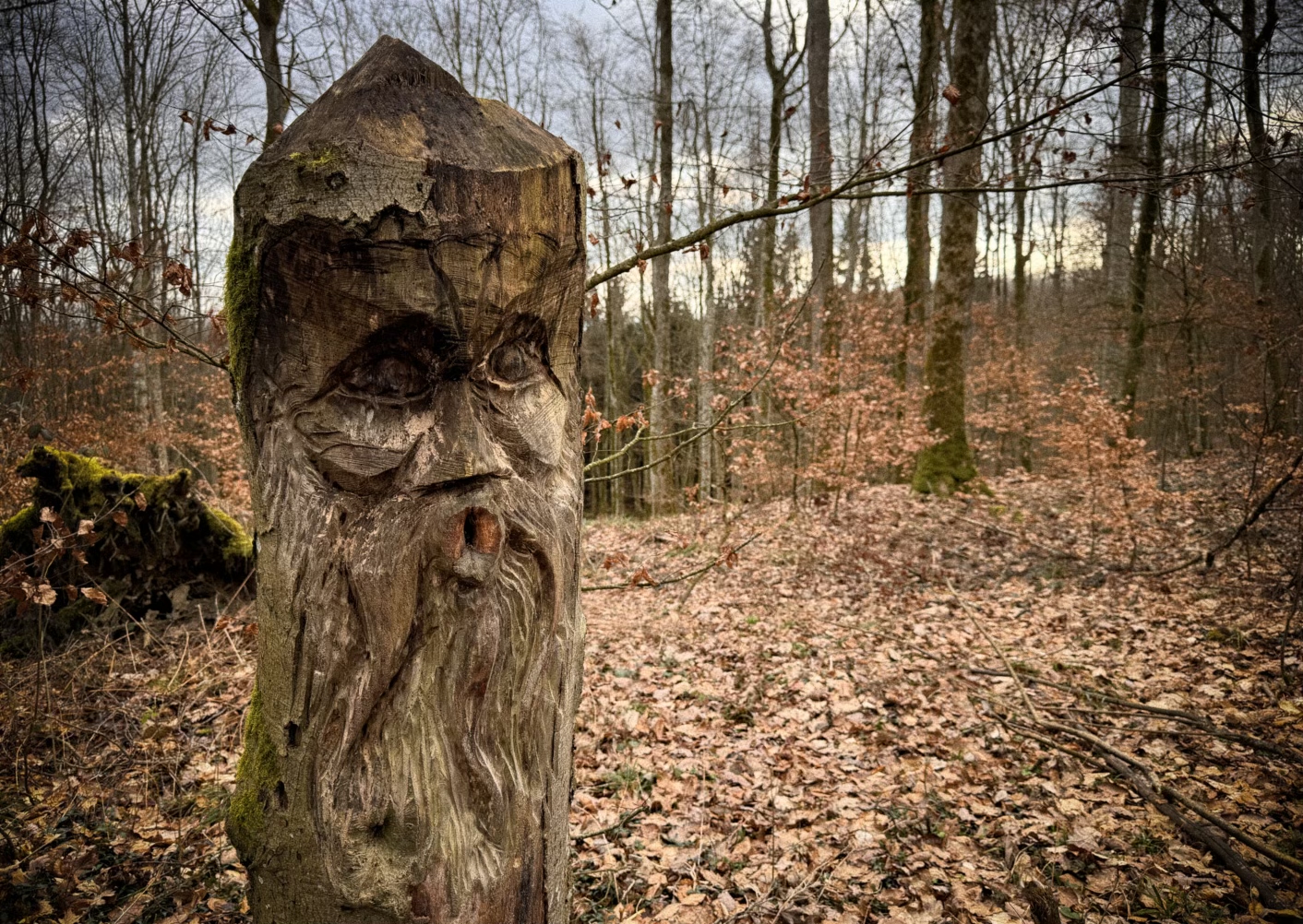 Ein in einen Baumstamm geschnitztes Gesicht. Im Hintergrund ist Wald zu sehen.